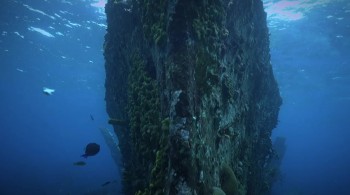 Below the Surface movie download hd